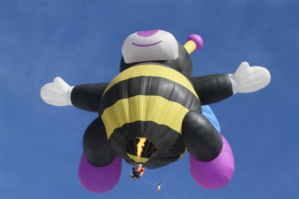 Joelly the Baby Bee, built by Zing, flying in Chateau doex